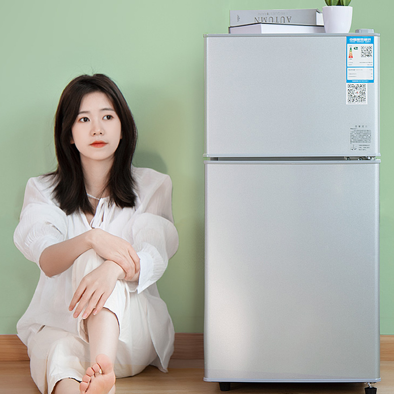 Kitchen Appliances Rental - ثلاجة صغيرة للمنزل والمكتب بباب مزدوج،